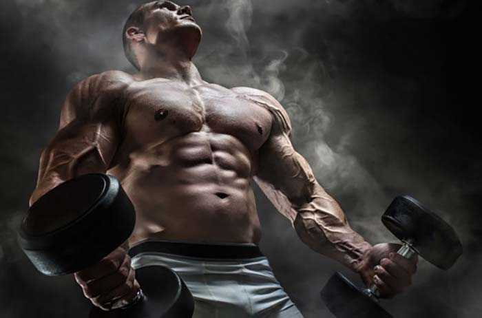 5 motivi per cui la anapolon steroid è una perdita di tempo