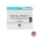 Test Prop 100